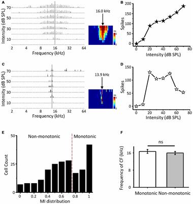 Robust and Intensity-Dependent Synaptic Inhibition Underlies the Generation of Non-monotonic Neurons in the Mouse Inferior Colliculus